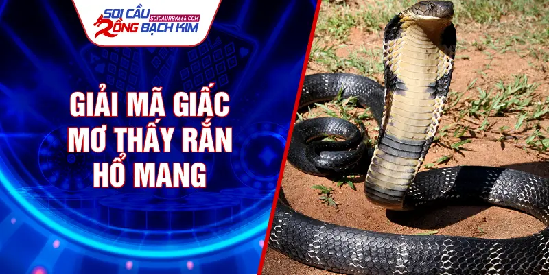 Giải mã giấc mơ thấy rắn hổ mang