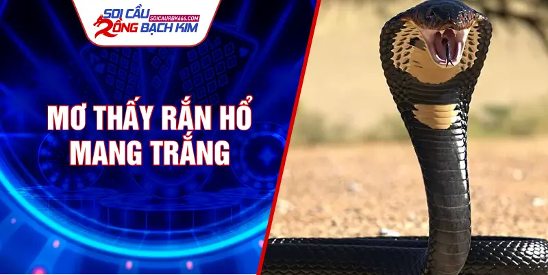 Mơ thấy rắn hổ mang trắng