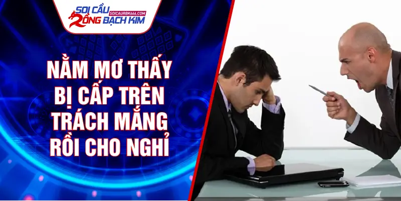 Nằm mơ thấy bị cấp trên trách mắng rồi cho nghỉ
